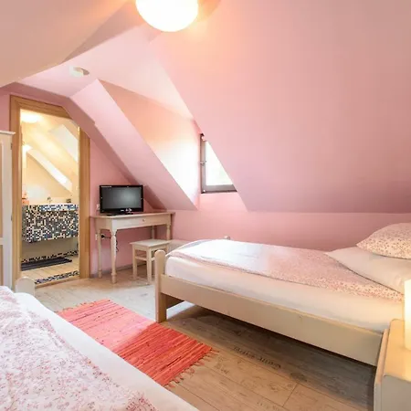 Mango 게스트하우스 브라쇼브